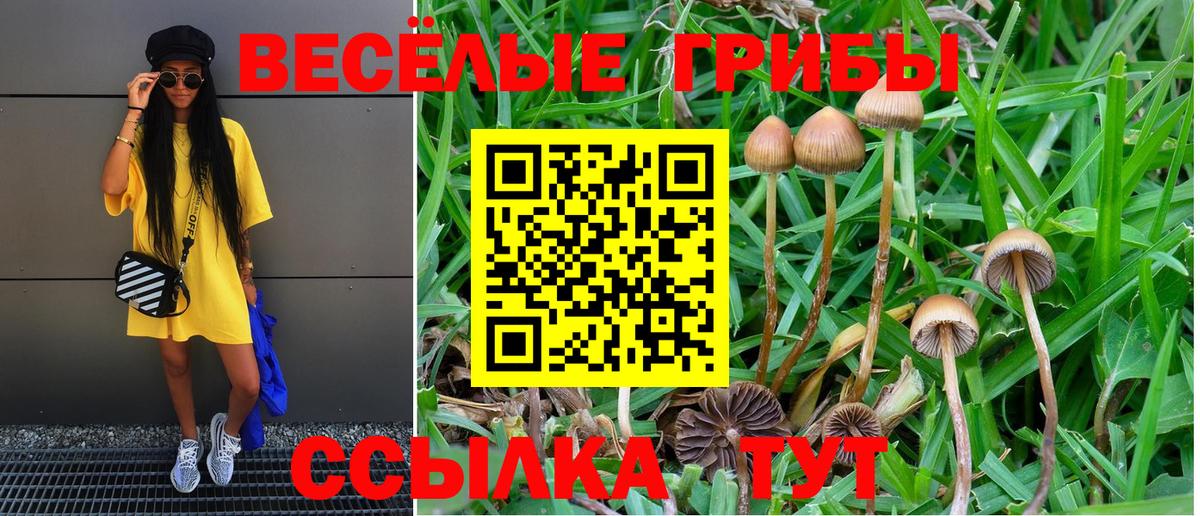 купить закладку  Вход с VPN  Псилоцибиновые грибы Psilocybe  Назарово  Псилоцибиновые грибы MAGIC MUSHROOMS 