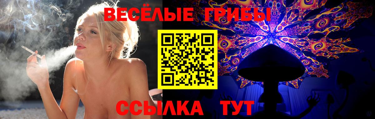 Галлюциногенные грибы прущие грибы Назарово